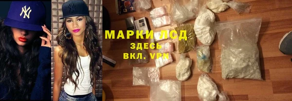 ГАЛЛЮЦИНОГЕННЫЕ ГРИБЫ Гусев