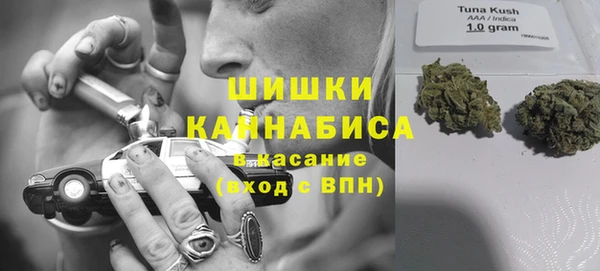 ГАЛЛЮЦИНОГЕННЫЕ ГРИБЫ Гусев