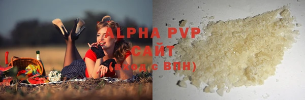 ГАЛЛЮЦИНОГЕННЫЕ ГРИБЫ Гусев