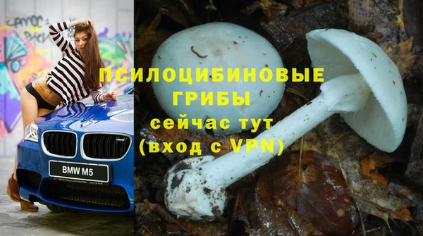 apvp Гусь-Хрустальный