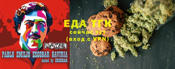 ГАЛЛЮЦИНОГЕННЫЕ ГРИБЫ Гусев
