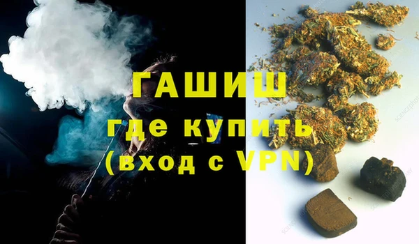 ГАЛЛЮЦИНОГЕННЫЕ ГРИБЫ Гусев