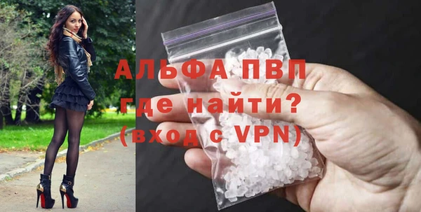 ГАЛЛЮЦИНОГЕННЫЕ ГРИБЫ Гусев