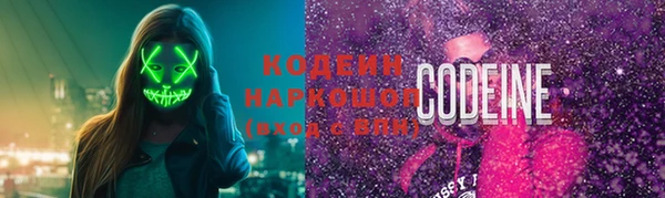 ГАЛЛЮЦИНОГЕННЫЕ ГРИБЫ Гусев